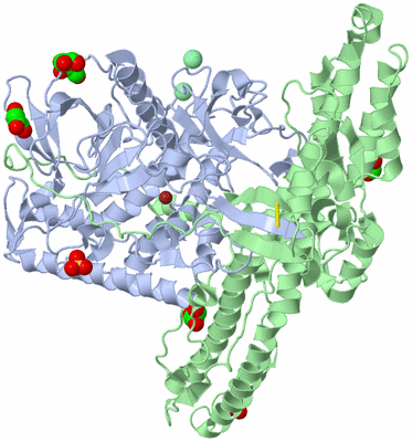 Image Biological Unit 1