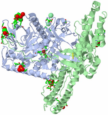 Image Biol. Unit 1 - sites