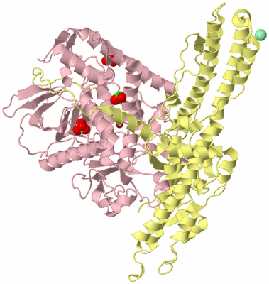 Image Biological Unit 2