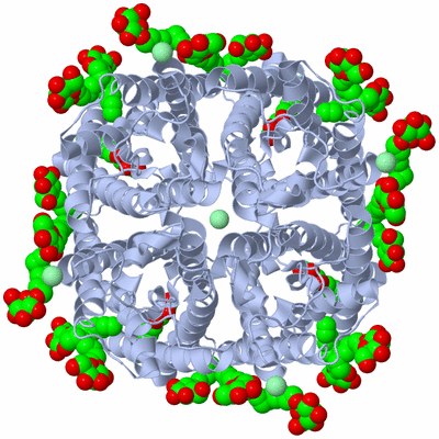 Image Biological Unit 1