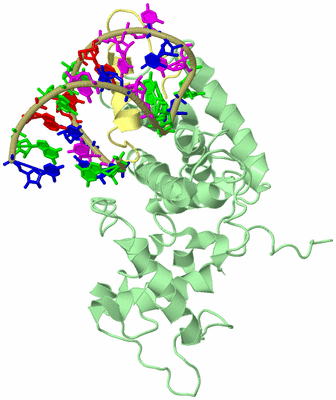 Image Biological Unit 2