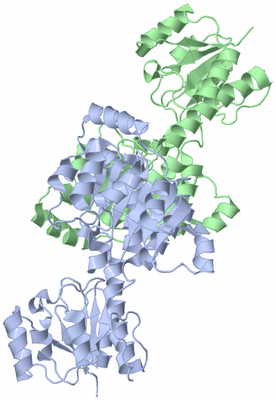 Image Asym./Biol. Unit