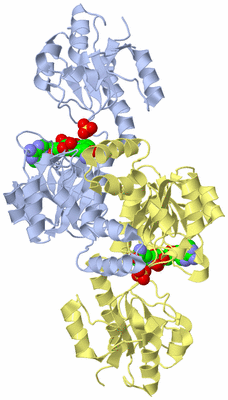 Image Biological Unit 1