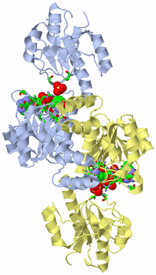 Image Biol. Unit 1 - sites