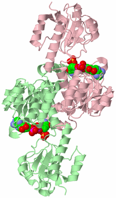 Image Biological Unit 2