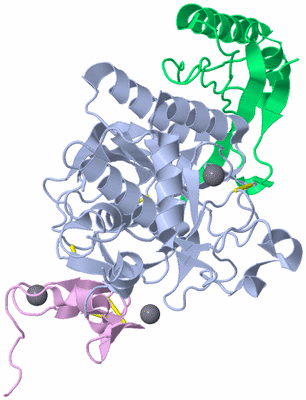 Image Asym./Biol. Unit