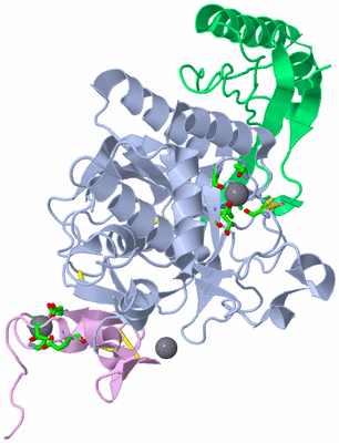 Image Asym./Biol. Unit - sites