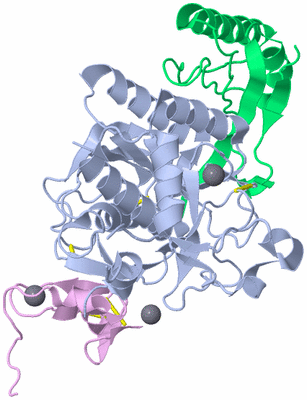 Image Asym./Biol. Unit