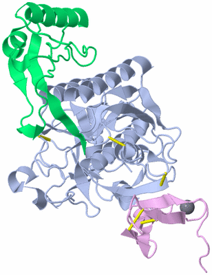 Image Asym./Biol. Unit