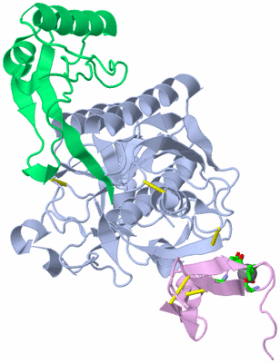 Image Asym./Biol. Unit - sites