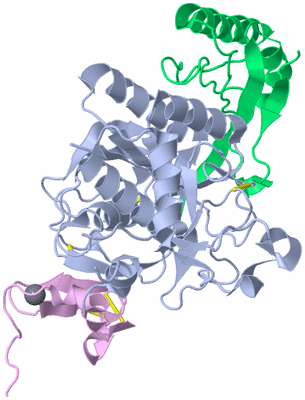 Image Asym./Biol. Unit