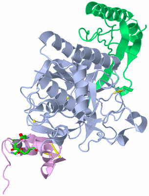 Image Asym./Biol. Unit - sites