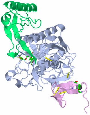 Image Asym./Biol. Unit - sites