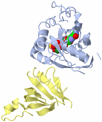 Image Biological Unit 1