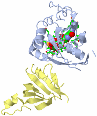 Image Biol. Unit 1 - sites