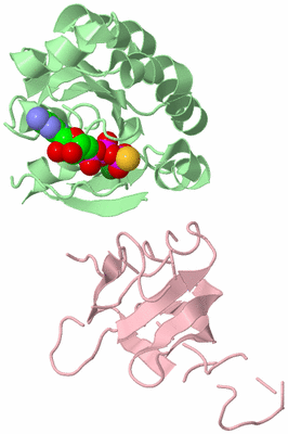 Image Biological Unit 2