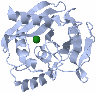 Image Biological Unit 3