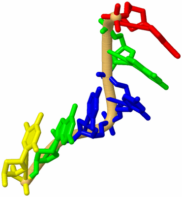 Image Biological Unit 8