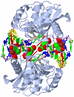 Image Biological Unit 1