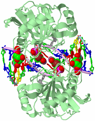 Image Biological Unit 2