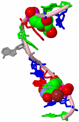 Image Biological Unit 5