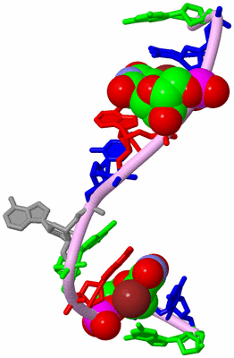 Image Biological Unit 8