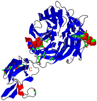 Image Asym. Unit - sites