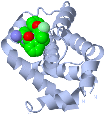 Image Biological Unit 1