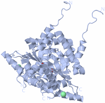 Image Biological Unit 1