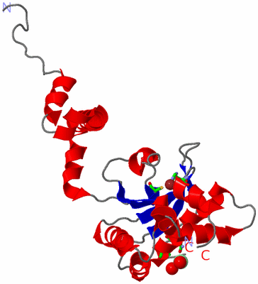 Image Asym. Unit - sites