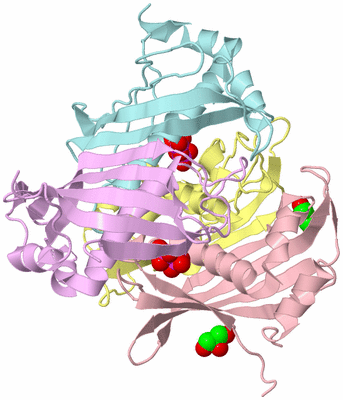 Image Biological Unit 2