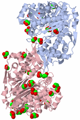 Image Biological Unit 1