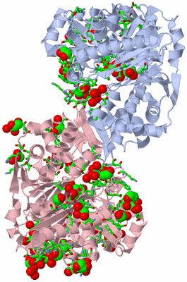 Image Biol. Unit 1 - sites