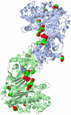 Image Asym./Biol. Unit
