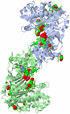 Image Asym./Biol. Unit - sites