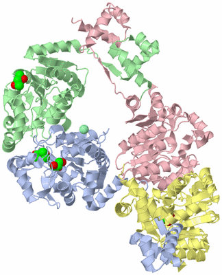 Image Asym./Biol. Unit