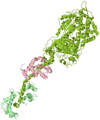 Image Biological Unit 1