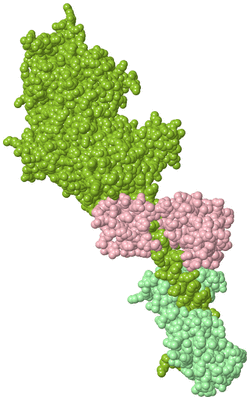 Image Biological Unit 1