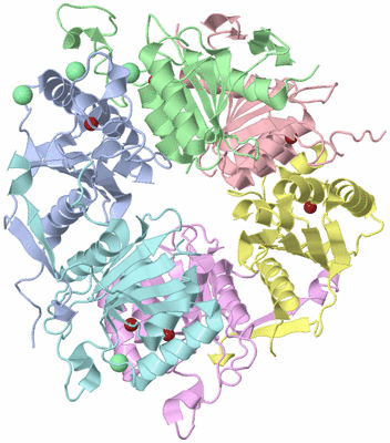 Image Asym./Biol. Unit