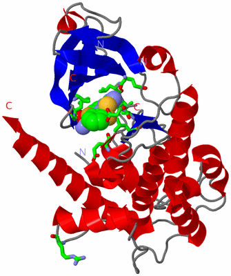 Image Asym./Biol. Unit - sites