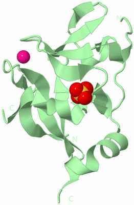 Image Biological Unit 2