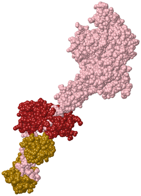 Image Biological Unit 1