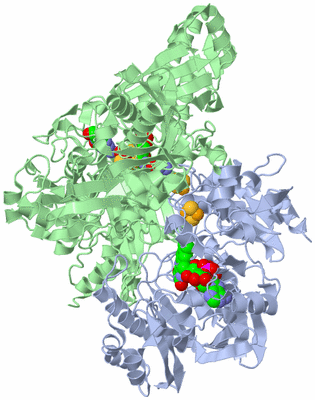 Image Biological Unit 1
