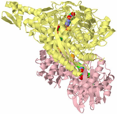 Image Biological Unit 2