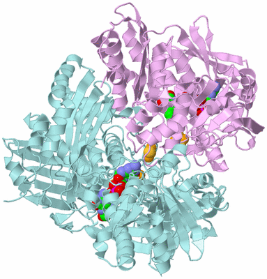 Image Biological Unit 3