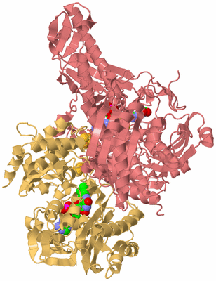 Image Biological Unit 4