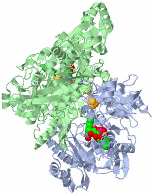Image Biological Unit 1