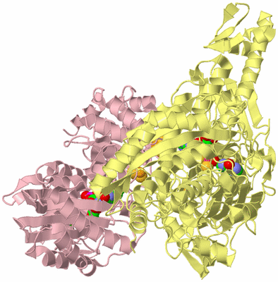 Image Biological Unit 2