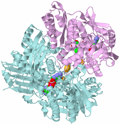 Image Biological Unit 3