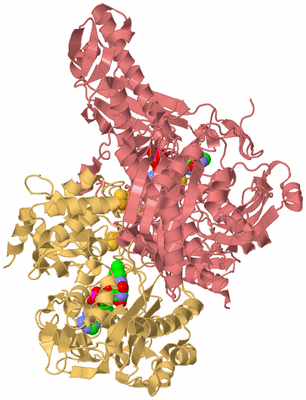 Image Biological Unit 4